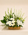 White Bloom Design #2