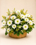 White Bloom Design #4